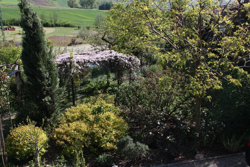 B&B La Casetta Villaromagnano エクステリア 写真